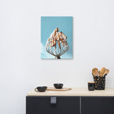 Piccalo - Smoked Marshmallow Canvas