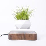Floating Plant Novelty Levitating Rotation Flowerpot