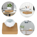 Floating Plant Novelty Levitating Rotation Flowerpot