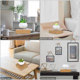 Floating Plant Novelty Levitating Rotation Flowerpot